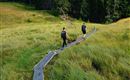Zwei Wanderer gehen auf einem Holzsteg durch eine grüne Wiese. Im Hintergrund sind Bäume zu sehen.