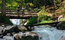 Ein klarer Bach fließt über Felsen in einem Waldgebiet. Zwei Personen stehen auf einer Holzbrücke und genießen die Natur.
