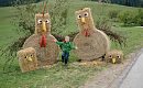 Kükenwochen Hexenwasser Söll_(c)Florian Egger (3).jpg