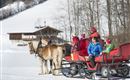 Kutschenfahren im Winter