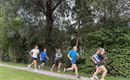 Eine Gruppe von sechs Personen joggt auf einem Kiesweg entlang dichter Bäume. Alle Teilnehmer tragen Sportkleidung und wirken aktiv und energiegeladen.