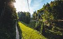 naturerlebnis_kaisergebirge_themenfuehrungen_copyright_mathaeus_gartner (30).jpg