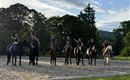 Six-rider group on horses in a riding arena. The riders raise their hands and enjoy the sunny day.