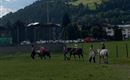 Ponyreiten DO