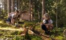 Kinder spielen im Wald und erkunden die Natur. Im Hintergrund ist ein Holzhaus zwischen den Bäumen zu sehen.