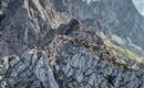 Scheffau_Treffauer Bergmesse_Bergrettung