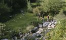 Scheffau_Wandern auf versteckten Pfaden