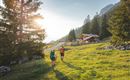 Scheffau_Wandern_Steiner-Hochalm