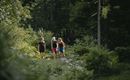 Scheffau_Wandern_Wald