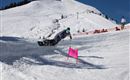 Shred Down 1