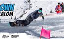 Shred Down Banner