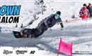 Shred Down