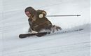 A skier races quickly down the slope and makes a turn in the snow. The surroundings are white and wintry.
