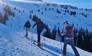 Eine Gruppe von Skifahrern wandert einen schneebedeckten Hang hinauf. Im Hintergrund sind Bäume und ein hoher Gipfel sichtbar.