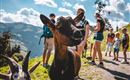 Söll_Spaß mit Ziege_Wilder Kaiser