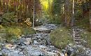 A clear brook flows through a forest with colorful autumn leaves. In the background, green trees and rocks are visible.