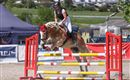 A rider jumps with a horse over obstacles. In the background, a green landscape and event equipment are visible.