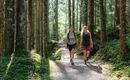Two women are hiking on a forest path between tall trees. The sun shines through the canopy of leaves, creating a pleasant atmosphere.