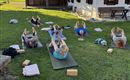 Eine Gruppe von Menschen macht Yoga draußen auf einer Wiese. Im Hintergrund sieht man ein traditionelles Holzhaus und einen klaren Himmel.