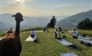 Yoga mit Alpakas