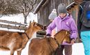 Ein Mädchen streichelt Ziegen im Schnee. Im Hintergrund sind Holzgebäude und weitere Personen sichtbar.
