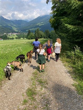 Tierisch spannende Kräuterwanderung