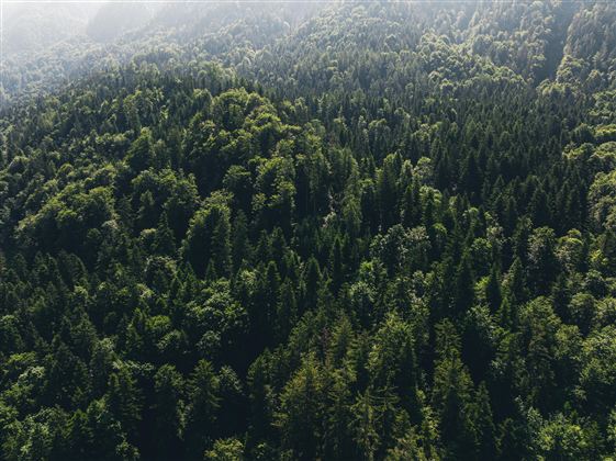 Eine Gruppe von vier Radfahrern steht auf einem Hügel und blickt auf die Berge. Sie feiern ihren Erfolg mit erhobenen Händen.