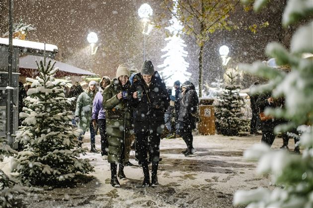 Weihnachtsmarkt Stadtpark