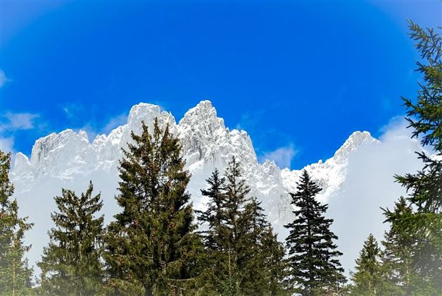 Wilder Kaiser_März 01