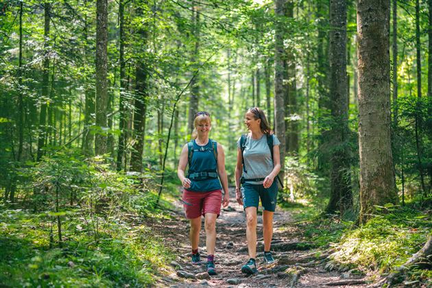 Two hikers walk along a narrow path through the woods. Surrounded by trees and green grass, they enjoy nature.
