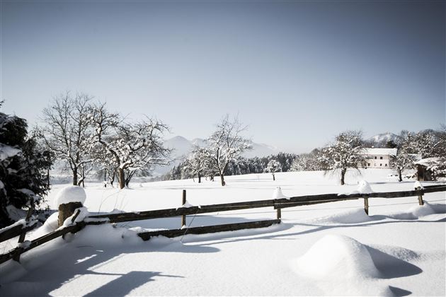Winterwandern