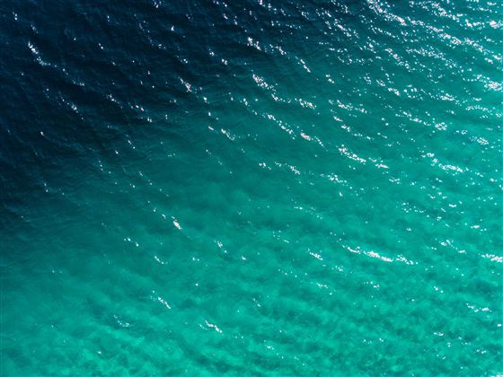 Ein klarer Ozean mit sanften Wellen. Die Wasseroberfläche schimmert in verschiedenen Grüntönen.