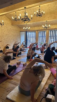 Eine Gruppe von Menschen praktiziert Yoga in einem hellen Raum mit Holzwänden. Sie dehnen sich auf Matten und nutzen Yogablöcke.