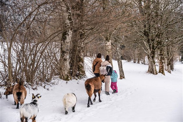 Zwei Erwachsene und ein Kind gehen im Schnee, begleitet von Ziegen. Die Umgebung ist von schneebedeckten Bäumen geprägt.