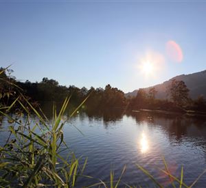 Petri Heil at Lake Erlensee