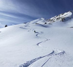 A snowy slope with fresh ski tracks and a clear blue sky. In the background, there are snow-covered mountains and some people visible.