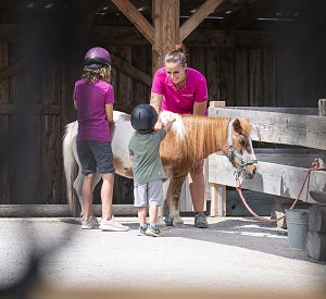 Pony education at Astberg