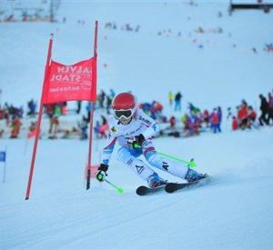 A skier goes through a gate on a snowy slope. In the background, many spectators and other skiers can be seen.