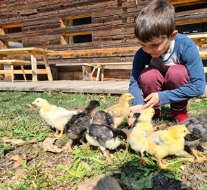 Ein Junge sitzt auf dem Gras und füttert kleine Küken. Im Hintergrund ist eine Holzhütte zu sehen.