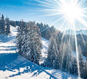 Panoramawanderung auf der Sonnenseite der Hohen Salve