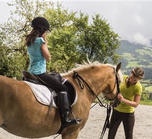 Ein Vormittag auf dem Pferdebauernhof "Achlhof"