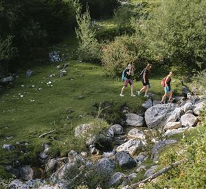 Scheffau_Wandern auf versteckten Pfaden