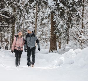 Ein Paar geht gemütlich durch einen verschneiten Wald. Die Bäume sind mit Schnee bedeckt und die Atmosphäre ist winterlich.