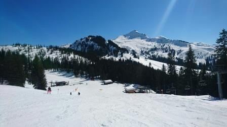 A beautiful winter landscape with snow-covered mountains and a clear blue sky. In the foreground, skiers on the slope and fir trees can be seen.