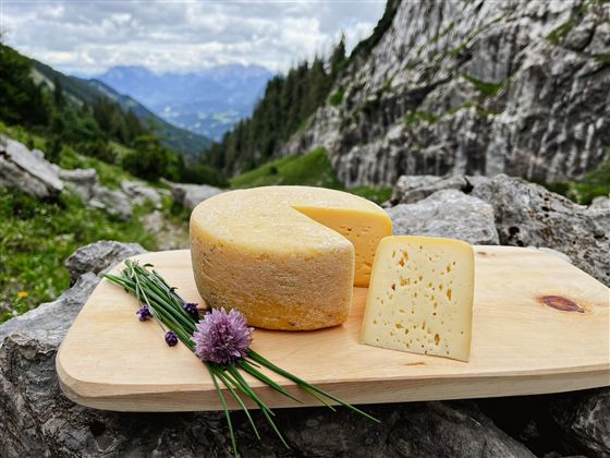 Almkäserei Ackernalm 5