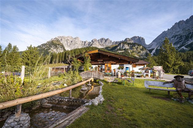 Almladl auf der Wochenbrunner Alm