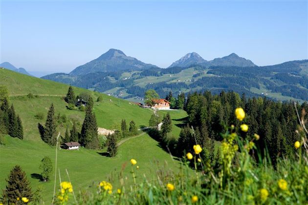 Aschinger Alm Ebbs