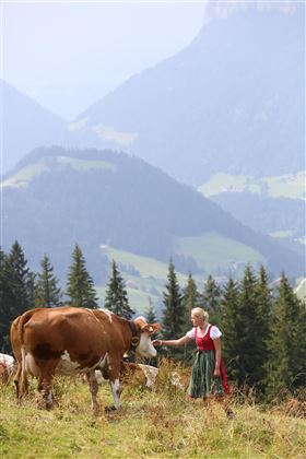 Au Hochalm Kuh