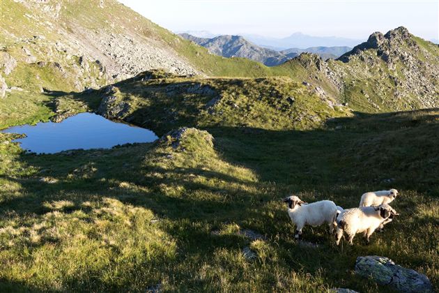 Auf dem weg zum Kröndlhorn