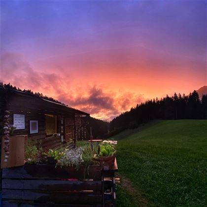 Ausblick